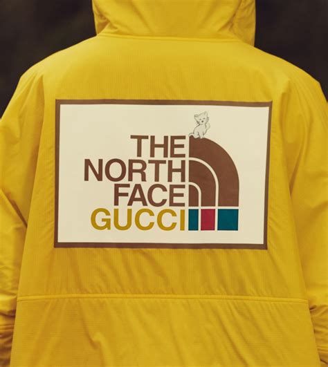 tnorth face gucci|north face gucci shop online.